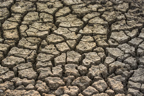 Primo piano della consistenza asciutta del suolo — Foto Stock