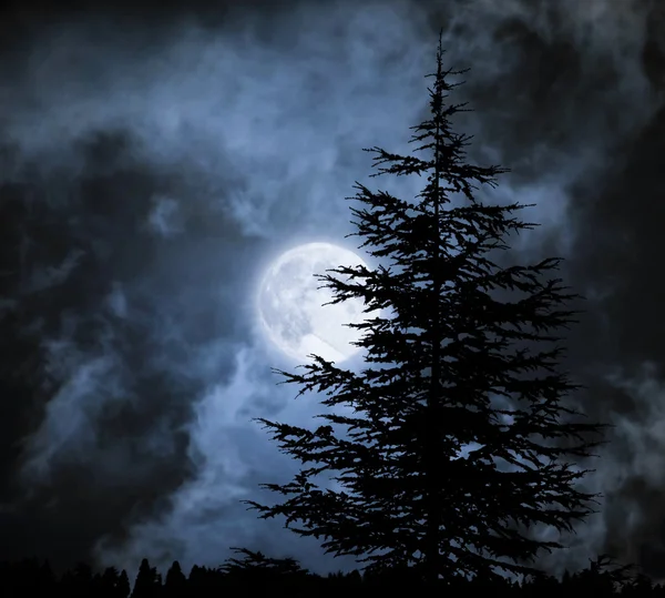 Paesaggio magico con pino sotto drammatico cielo nuvoloso alla luna piena — Foto Stock