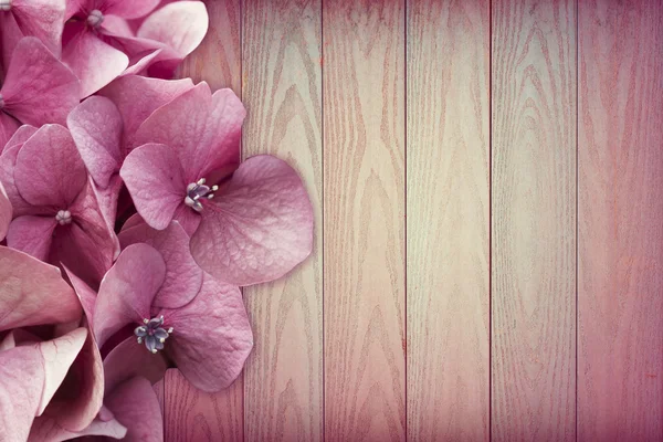 Потрясающие розовые цветы на розовом деревянном фоне. Копирование пространства — стоковое фото