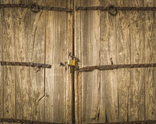 Old antique door — Stock Photo, Image