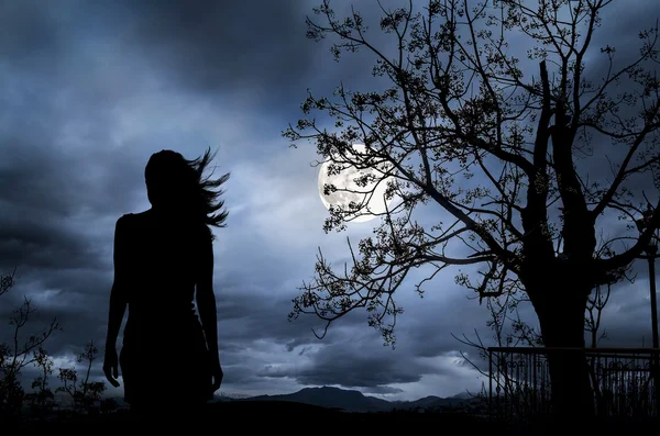 ağaç, dolunay karanlık gece 