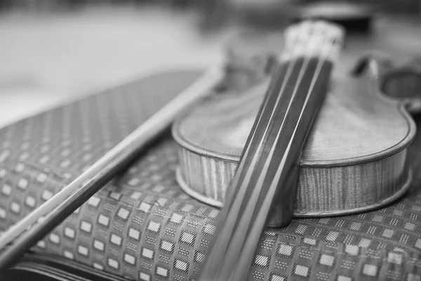 Classic violin black and white — Stock Photo, Image