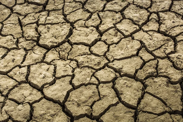 Terreno incrinato — Foto Stock