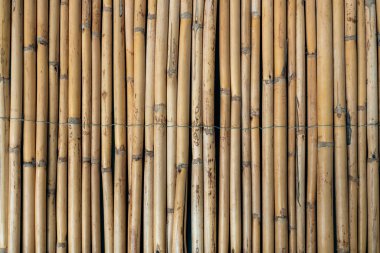 Natural Bamboo Wall Texture Background. High quality photo