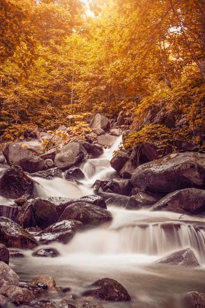 Cachoeira bonita na floresta, paisagem de outono — Fotografia de Stock