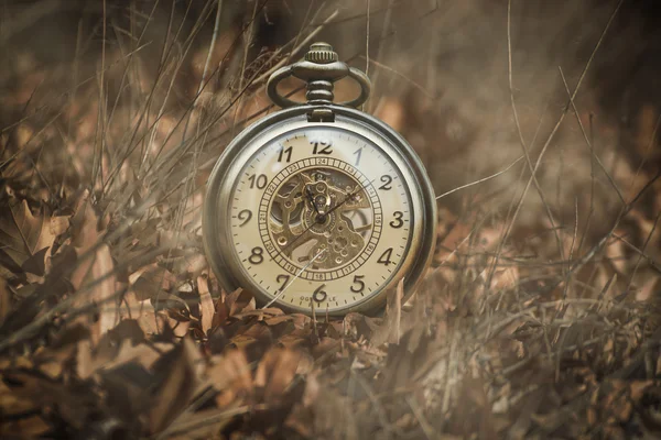 A pocket watch on leaves — Stock Photo, Image