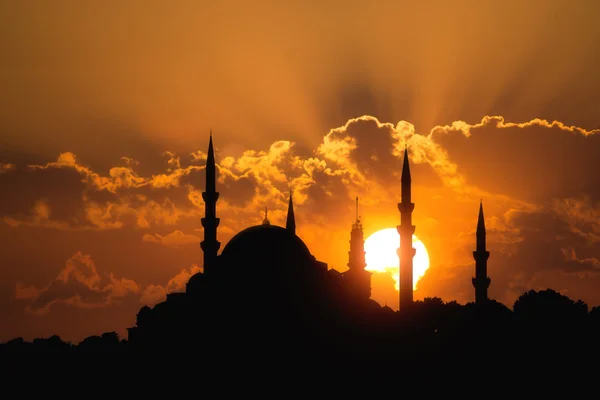 Το Τζαμί Suleymaniye Κωνσταντινούπολη Τουρκία — Φωτογραφία Αρχείου