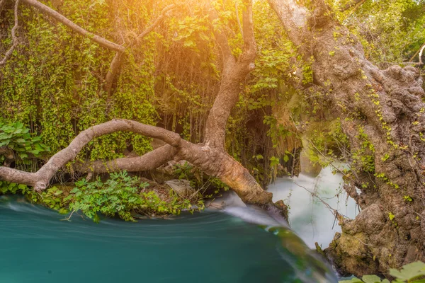 Wasserfall fällt aus dem Duden — Stockfoto