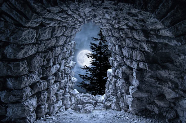 ซากปรักหักพังของกอธิคมืดกับพระจันทร์เต็มดวง — ภาพถ่ายสต็อก