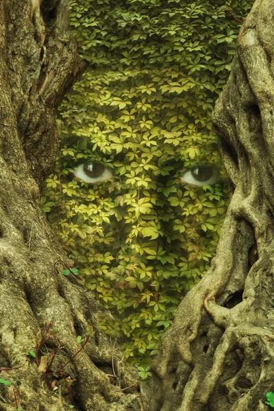 葉のテクスチャーと女性の顔。生態学の概念. — ストック写真
