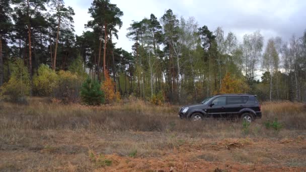 Stor svart bil är parkerad i skogen — Stockvideo