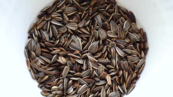 Bunch of sunflower seed in a white plate — Stock Video