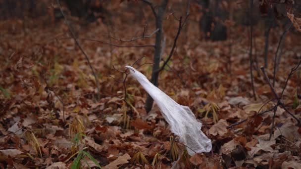 Cellofaan zak gevangen op een tak ontwikkelt zich in het bos — Stockvideo