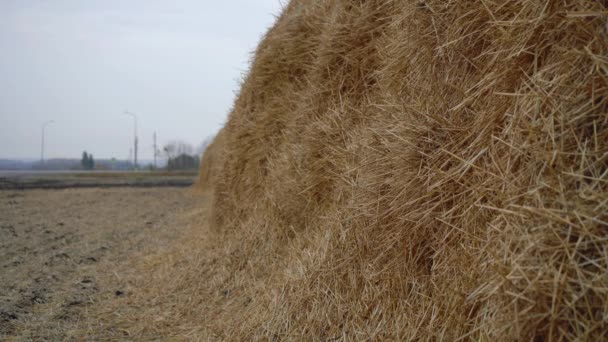 Enorme hooiberg liggend op de grond — Stockvideo