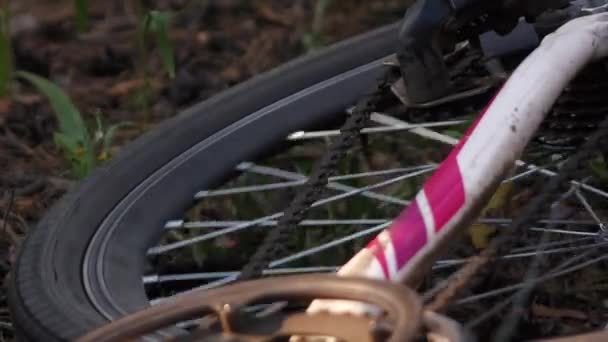 Groot wiel van de fiets draait — Stockvideo