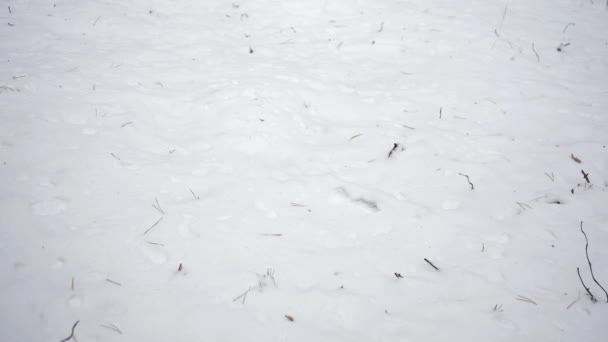 Homem caminha na neve em botas deixando pegadas — Vídeo de Stock