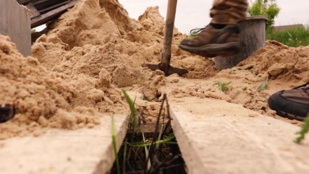 Bir adam kürekle kovadan kum topluyor. inşaat kavramı — Stok video