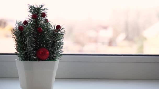 Malý vánoční stromek stojí na parapetu — Stock video