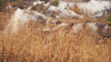 Salıncaklar rüzgarda sallanıyor