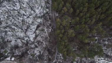 İki farklı çam ve meşe ormanının kavşağı. hava atışı.