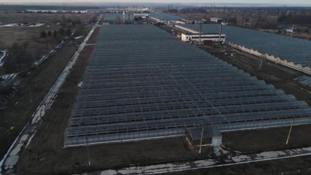 Greenhouses in winter. aerial shooting — Stock Video