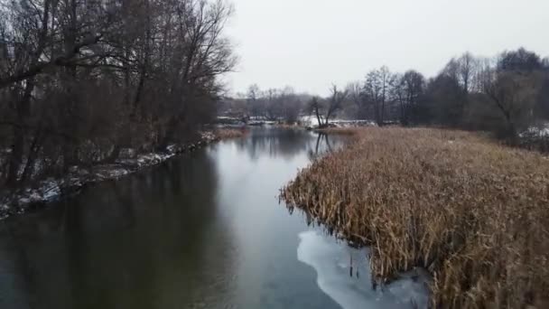 Een kleine rivier stroomt in de winter. luchtfoto 's — Stockvideo