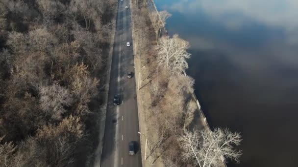 Estrada entre o rio e a floresta. tiro aéreo — Vídeo de Stock