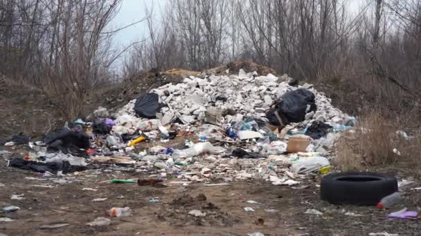 Uma montanha de lixo na rua na floresta — Vídeo de Stock