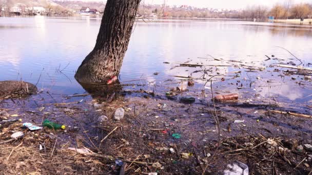 Hromada odpadků v řece u břehu — Stock video