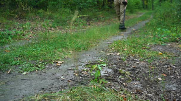 Un homme marche avec un détecteur de métaux dans la forêt — Video