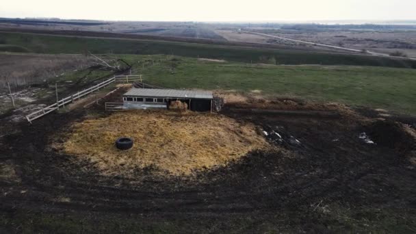 Weiland en kraal voor koeien. Schieten vanuit de lucht. 4k-beelden — Stockvideo