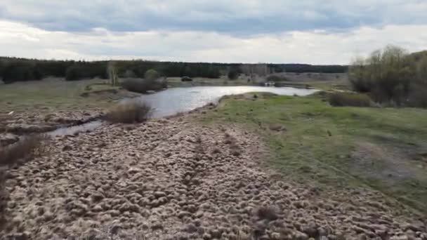 Movimiento de la cámara a lo largo del bosque cruzando el lago. disparos aéreos — Vídeos de Stock