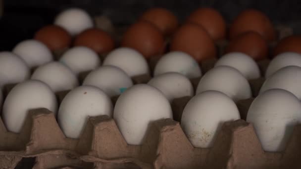 A bunch of chicken eggs on a special cob in the kitchen — Stock Video