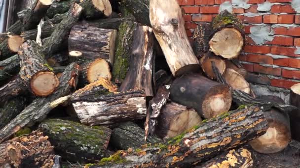 Un montón de troncos yacen como una montaña en el suelo cerca de la casa de baños — Vídeo de stock