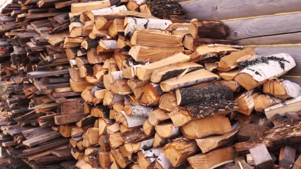 Ein Haufen Brennholz aus Baumstämmen, die am Bad liegen — Stockvideo