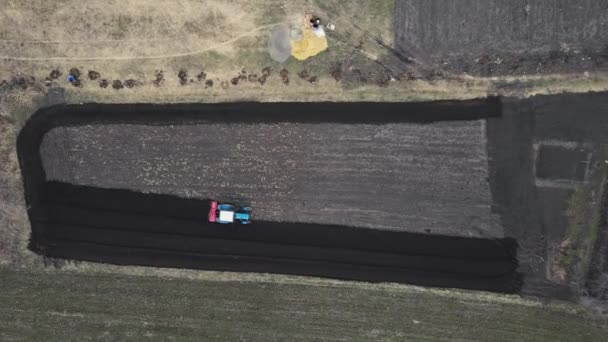Drone disparo de un tractor azul arando un huerto — Vídeo de stock