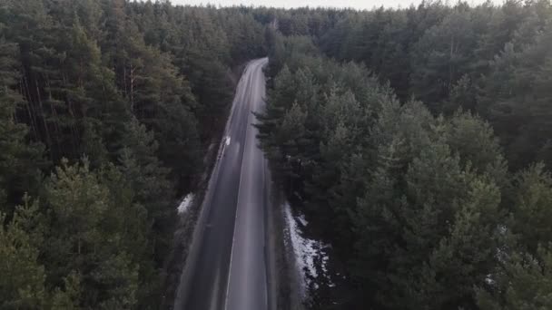 Pergerakan pesawat tak berawak di sepanjang jalan ditutupi dengan hutan pinus di kedua sisi — Stok Video