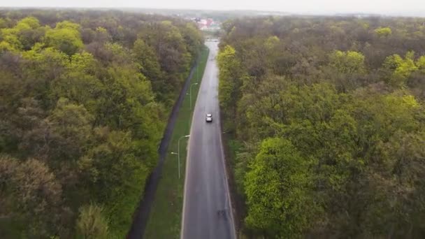 Samochód jedzie wzdłuż drogi wzdłuż lasu — Wideo stockowe