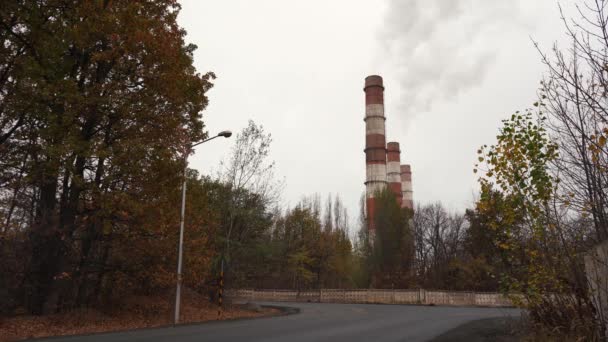 Gangster old car zipping along the road in autumn — Stock Video