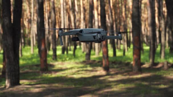 Quadcopter κρατά στον αέρα. στο δάσος — Αρχείο Βίντεο