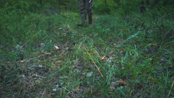 Un uomo cammina attraverso la foresta con un metal detector e trova cose perse — Video Stock