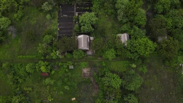 Невелике поселення, розташоване в лісі. повітряна стрільба — стокове відео