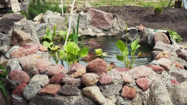 Pequeño estanque casero en el patio de la casa — Vídeos de Stock