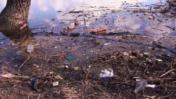 Veel vuilnis drijft in het water bij de kust — Stockvideo