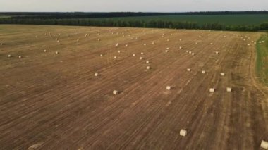 Samanlıklarla dolu büyük bir tarla. hava atışı.