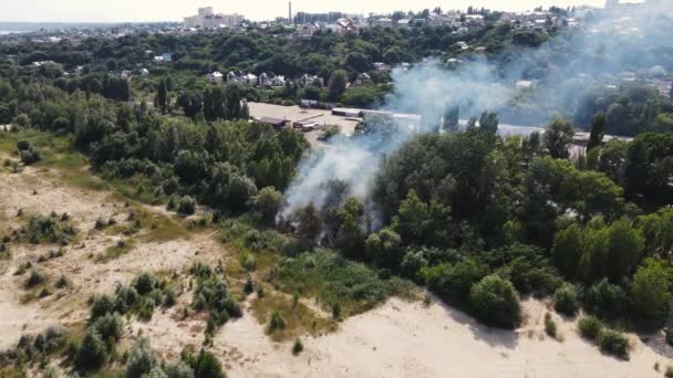 Erba ardente in una cintura di foresta vicino alla città. drone aereo — Video Stock