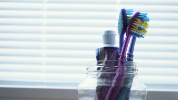 Cepillos de dientes se colocan en un vaso destinado a cepillos — Vídeos de Stock