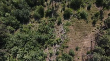 Ormanın ortasında devrilmiş ağaçlar. hava atışı