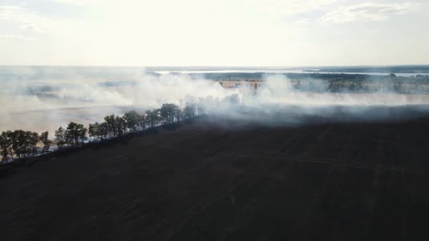 Een veld branden over een groot gebied. drone schieten — Stockvideo