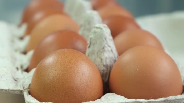 Close-up shot of a pack of Chicken eggs. — Stock Video